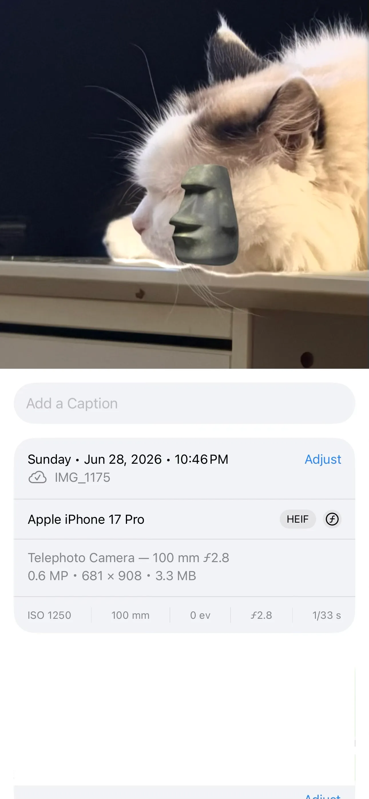 The Apple Photos Info panel for a HEIF photo showing its dimensions, camera details, and 3.3 MB file size.