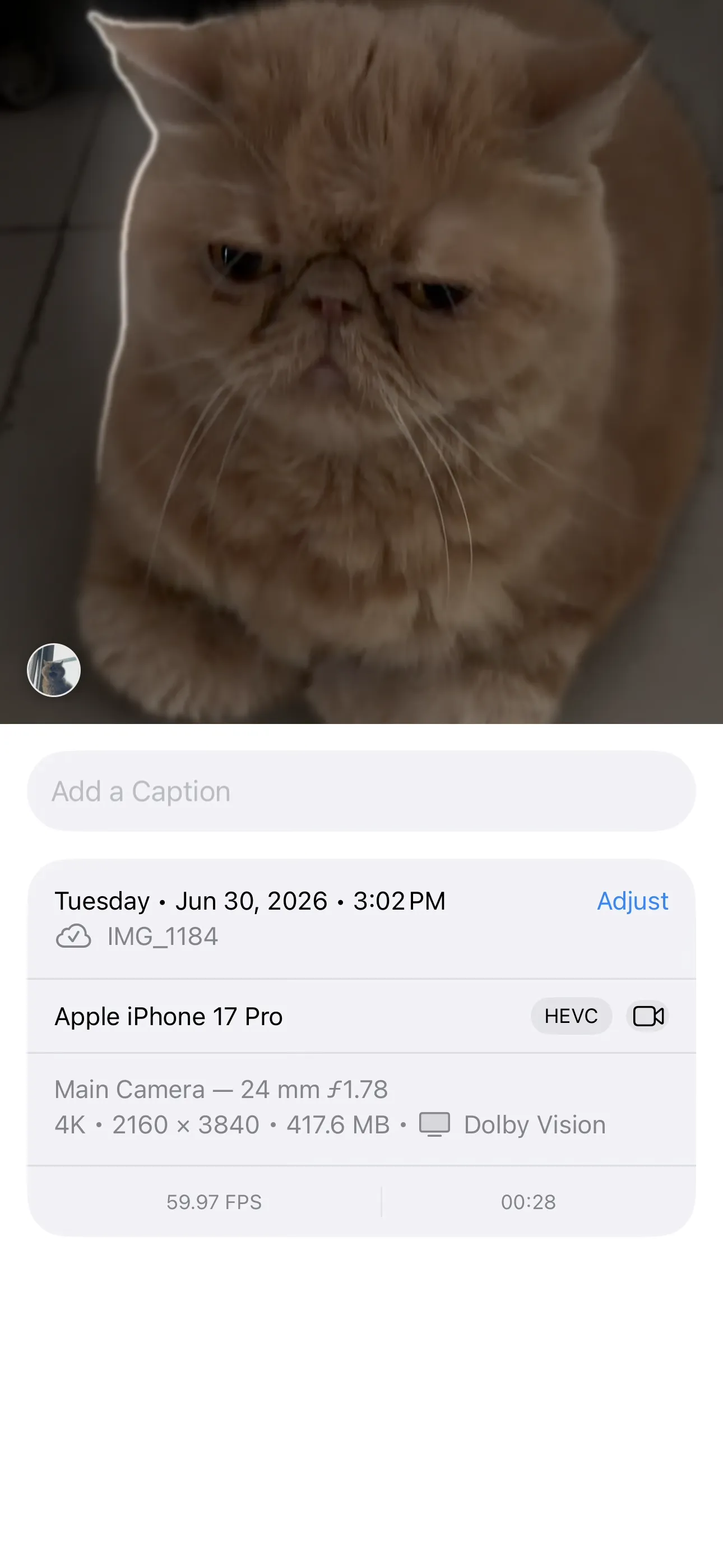 The Apple Photos Info panel for a 28-second 4K HEVC video showing a file size of 417.6 MB.